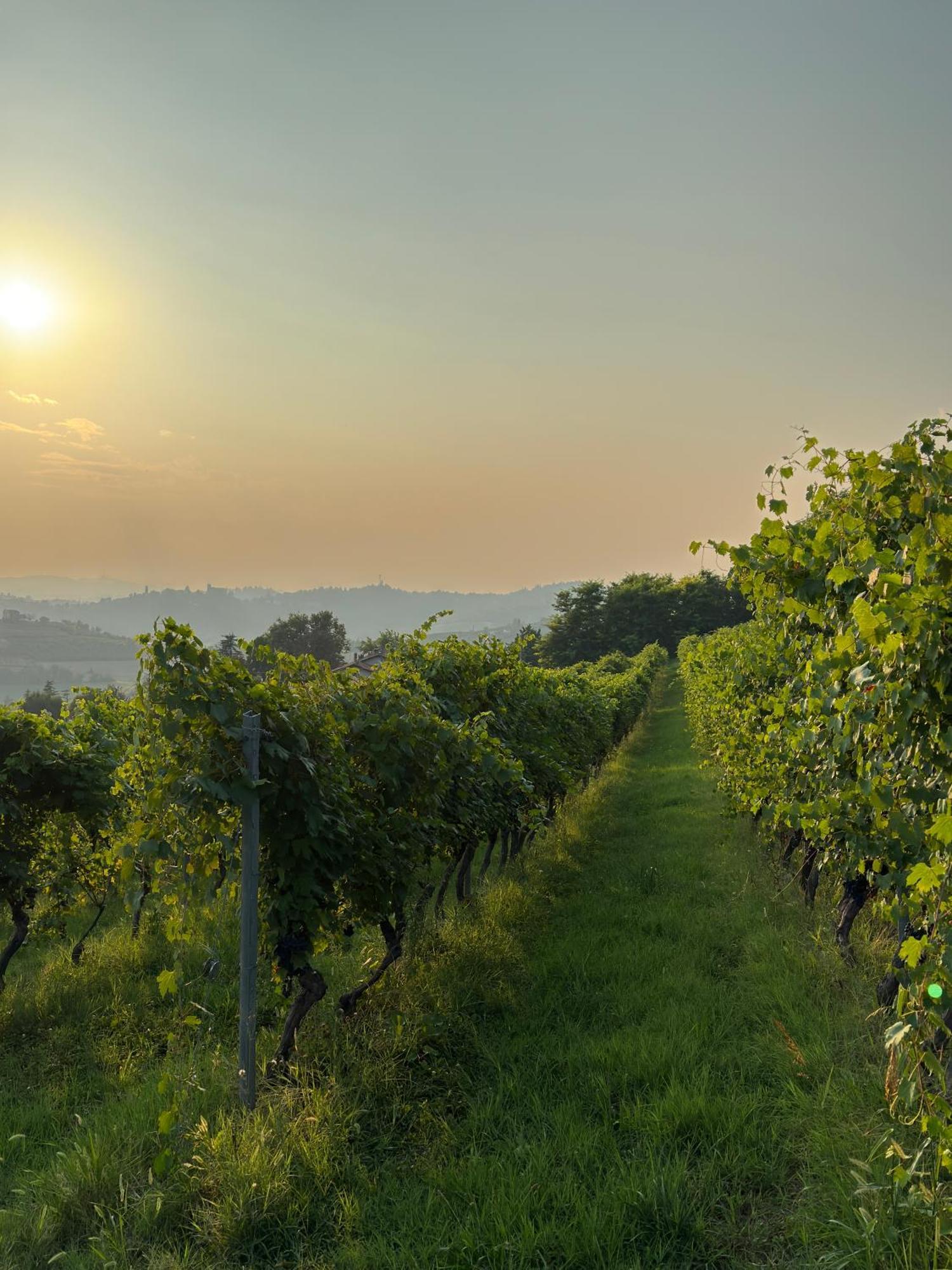 Relais Conac 1888 - Luxury B&B - Adults Only Castelnuovo Don Bosco Luaran gambar